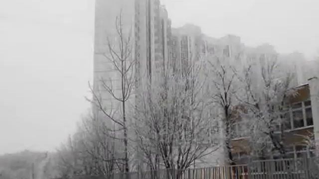 ЧЕРНЫЙ КЛЕН смотреть онлайн