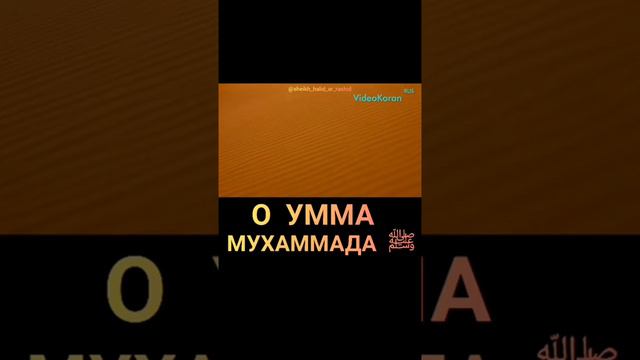 Халид Ар Рашид Напоминание смотреть онлайн