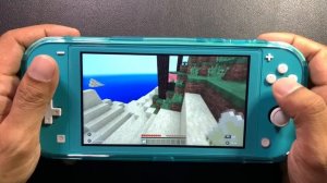 Minecraft | Unboxing and Gameplay | Nintendo Switch Lite | Black Friday Deal