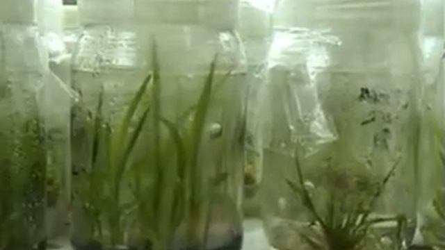 Aditya Biotech Lab & Research Pvt. Ltd. смотреть онлайн