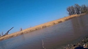 Ловля карасика на удочку