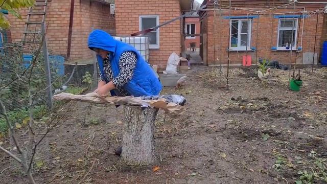 Ейск?Посадили сад. Саженцы из Крымского питомника. смотреть онлайн