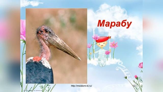 Птицы - наши друзья. Презентация для детей и взрослых смотреть онлайн