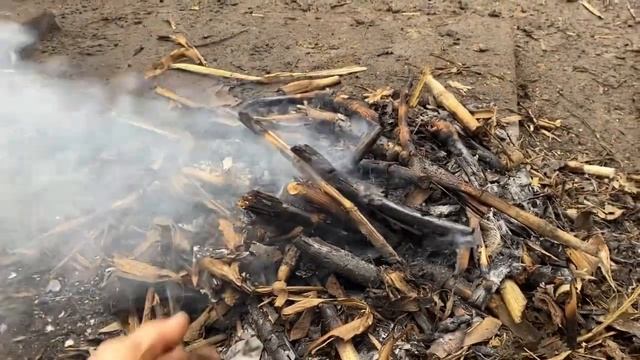 Эти хитрости позволят вам иметь здоровую птицу