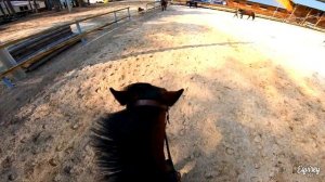 упала с коня?? | КОНКУР | GoPro