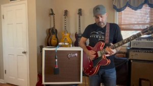 Gibson Falcon 5
