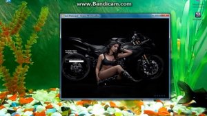 как установить Windows XP на виртуал бокс