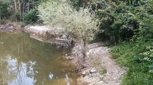 Раевская. На рыбалку после карантина