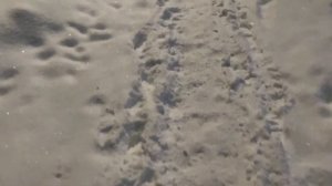 #песни60х "По тропинке, снежком запорошенной..."