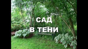 САД В ТЕНИ