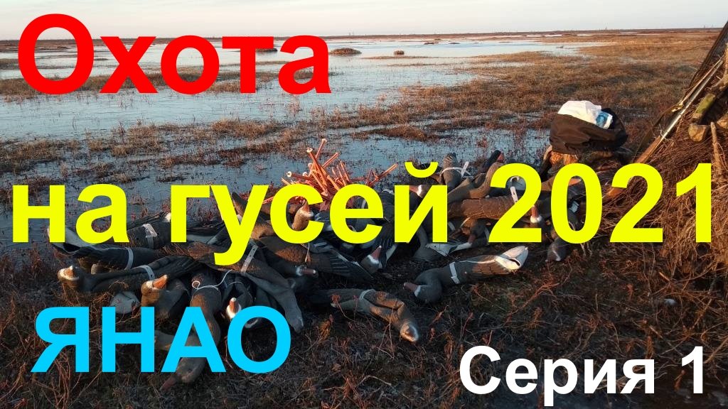 ОХОТА НА ГУСЕЙ 2021 Серия 1 смотреть онлайн