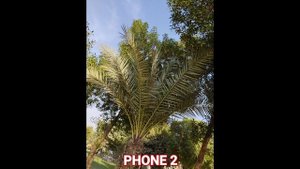 Leica Leitz Phone 2 VS Leica Leitz Phone 1 Camera Test