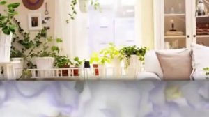 Цветы в интерьере создаем гармонию