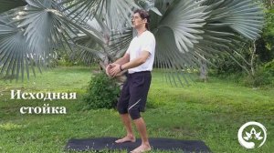 Цигун: первоэлемент Земля. Лечит желудок, селезёнку и уверенность. Пять стихий, утренний цигун.