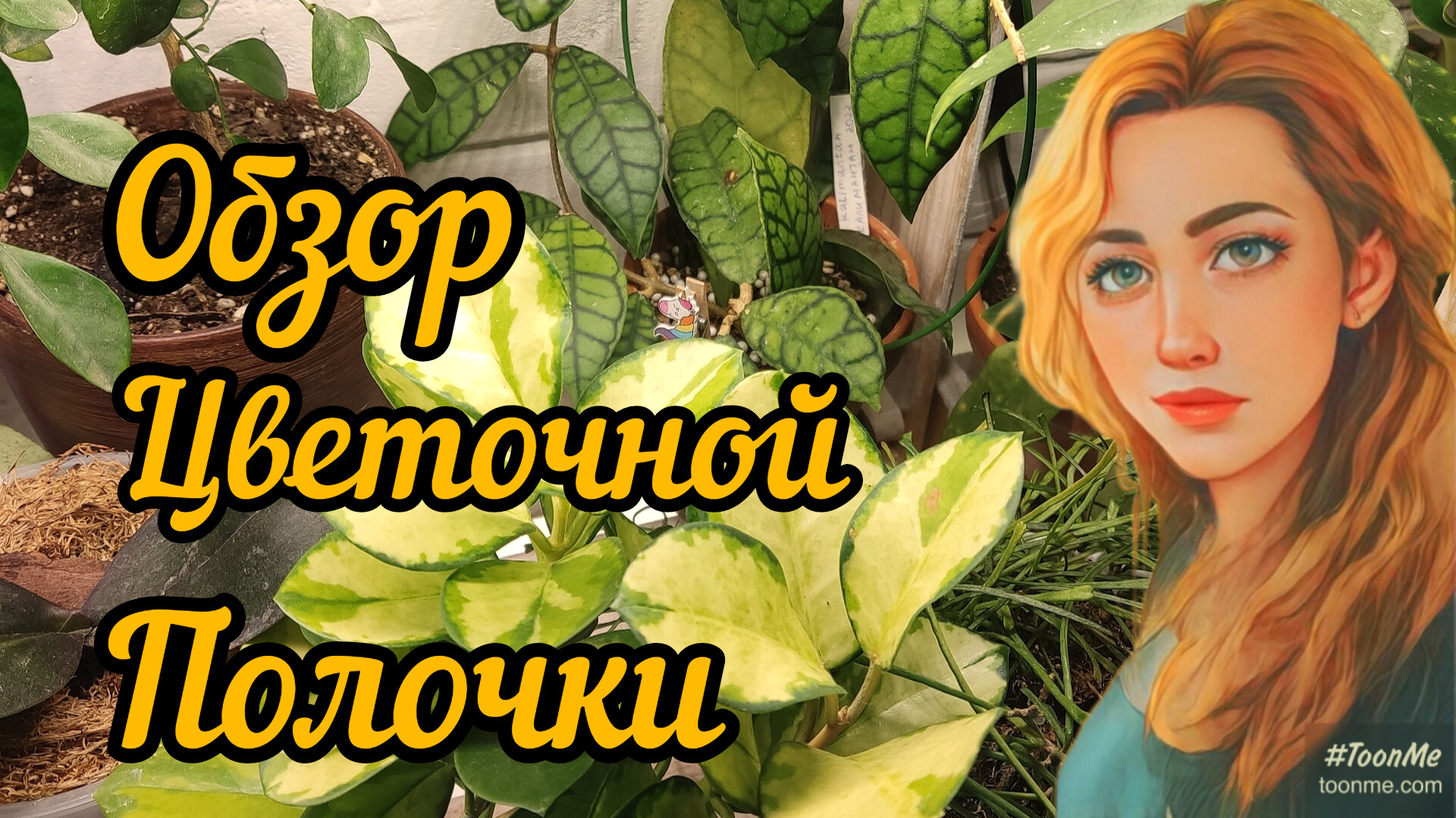 Обзор цветочной полочки