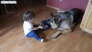 Собаки которые очень любят Детей! [NEW!]