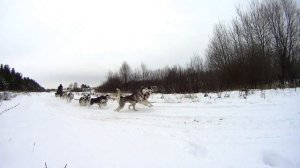 Sleddog December 1