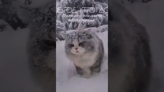 Чем отличается ХИТ от хорошей песни?