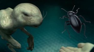 Криповая хренатень: Гибрид человека и...