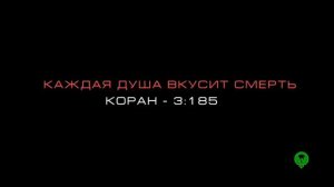 Мирская жизнь | Прекрасное напоминание от Ummah Media Channel