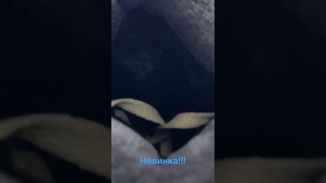 новинка по очень сочной цене!!залетай в авитомагазин и успевай заказывать ! количество ограничено смотреть онлайн