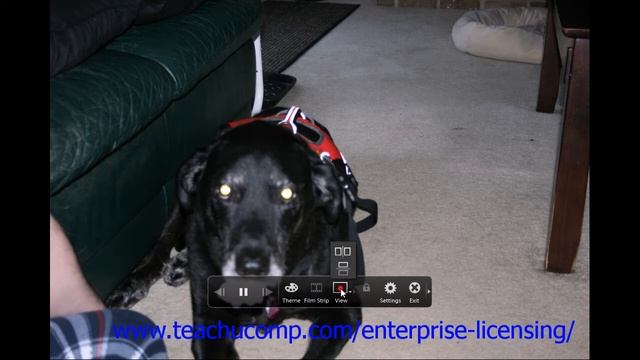 Adobe Photoshop Elements 12 Tutorial The Organizer Employee Group Training 2.5 смотреть онлайн