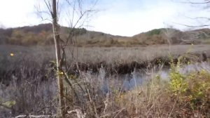 Swamp Bass Fishing  -- October MTB Slam Pro Edition