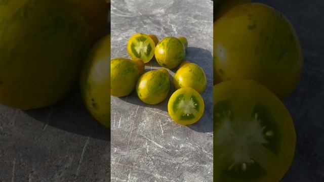 Michael Pollan Tomato. Shop seeds -  www.doohoff.com