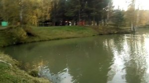 Парк ⛲наукаград Кольцово, Новосибирск.