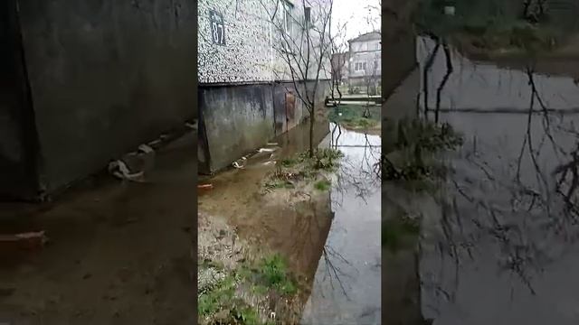 А это пос Голубая Нива Славянского района. Краснодарского края. смотреть онлайн