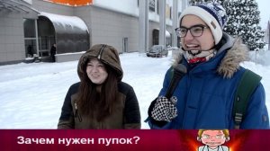 Зачем нужен пупок? (ಠ_ಠ) HWS #4