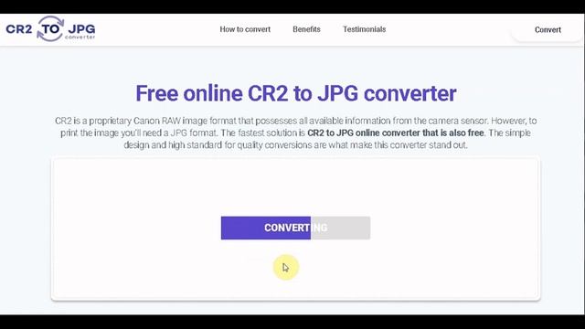 How to convert CR2 to JPG (3-step tutorial)