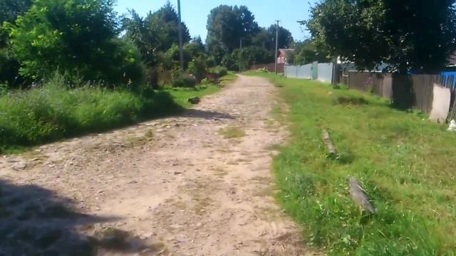 г.Рославль А Вы знали?(август2018г.) смотреть онлайн