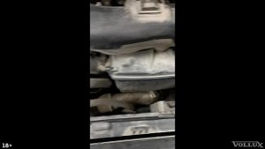 Зимние НЕисправности VOLVO XC 60 / V 90.  Мы отвечаем за гарантию. | VOLLUX