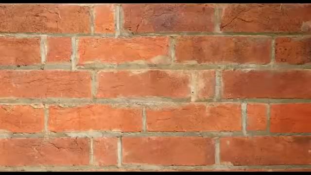 Маленькие звери. Топ 10 смотреть онлайн