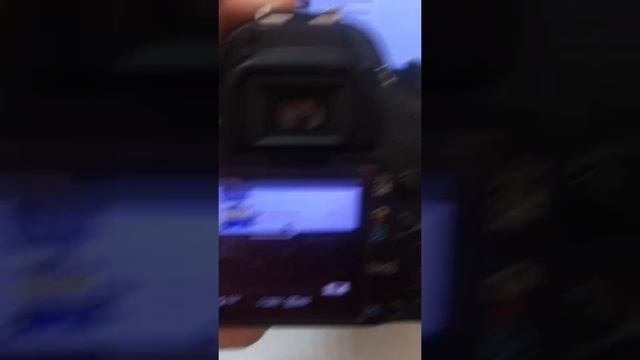 8 сентября 2021 г. смотреть онлайн