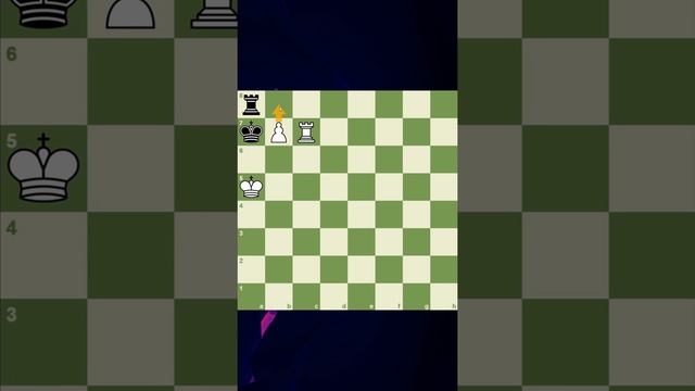 IMPOSSIBLE mate in 1?