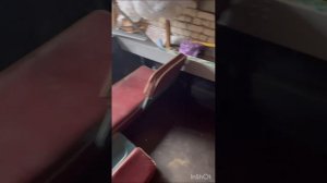 Лодка Крым)))с мотором альфа 20