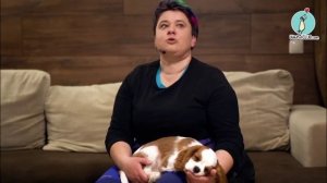 Первые прогулки щенка. Приучаем к машине