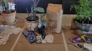 Plant Swap | Soil & Suds Radical Plant Swap | Plant Haul | New Plants