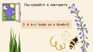 Урок английского языка. Буква E (звуки /i:/ и /e/)