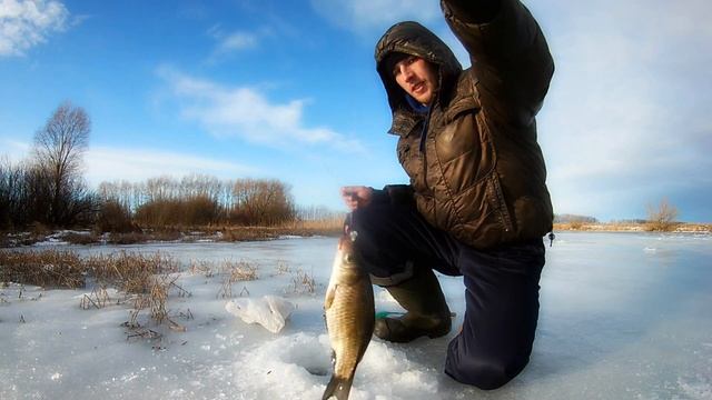 Ловля КАРАСЯ и РОТАНА зимой в камыше | январь 2018 смотреть онлайн