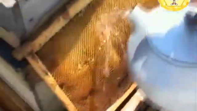 Стабильная работа пчёл смотреть онлайн