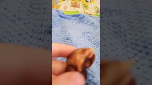 спасение Ампулярии