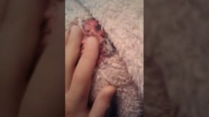 Как трудно жить без мамы 😿😿😿🙀🙀!