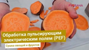 Повышение эластичности корнеплодов и фруктов за счет обработки PEF пульсирующим электрическим полем