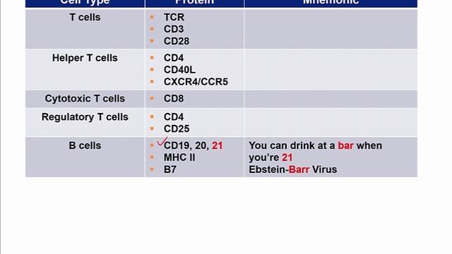 USMLE RX - 6.Иммунология - 2.Иммунные реакции - 7.Белки клеточной поверхности