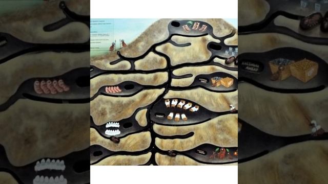 Интегрированное занятие на тему "Муравейник и его обитатели" от Сайпудиновой Дианы Зайнулаевны смотреть онлайн