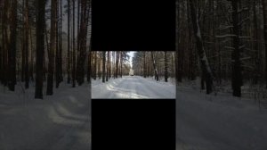 Dynamic state pm-165.3 pro series 3 пары от Урал decibel 6.180 на одну пару каналов в 1.33 Ом