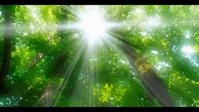 21 день Изобилия Дипак Чопра смотреть онлайн